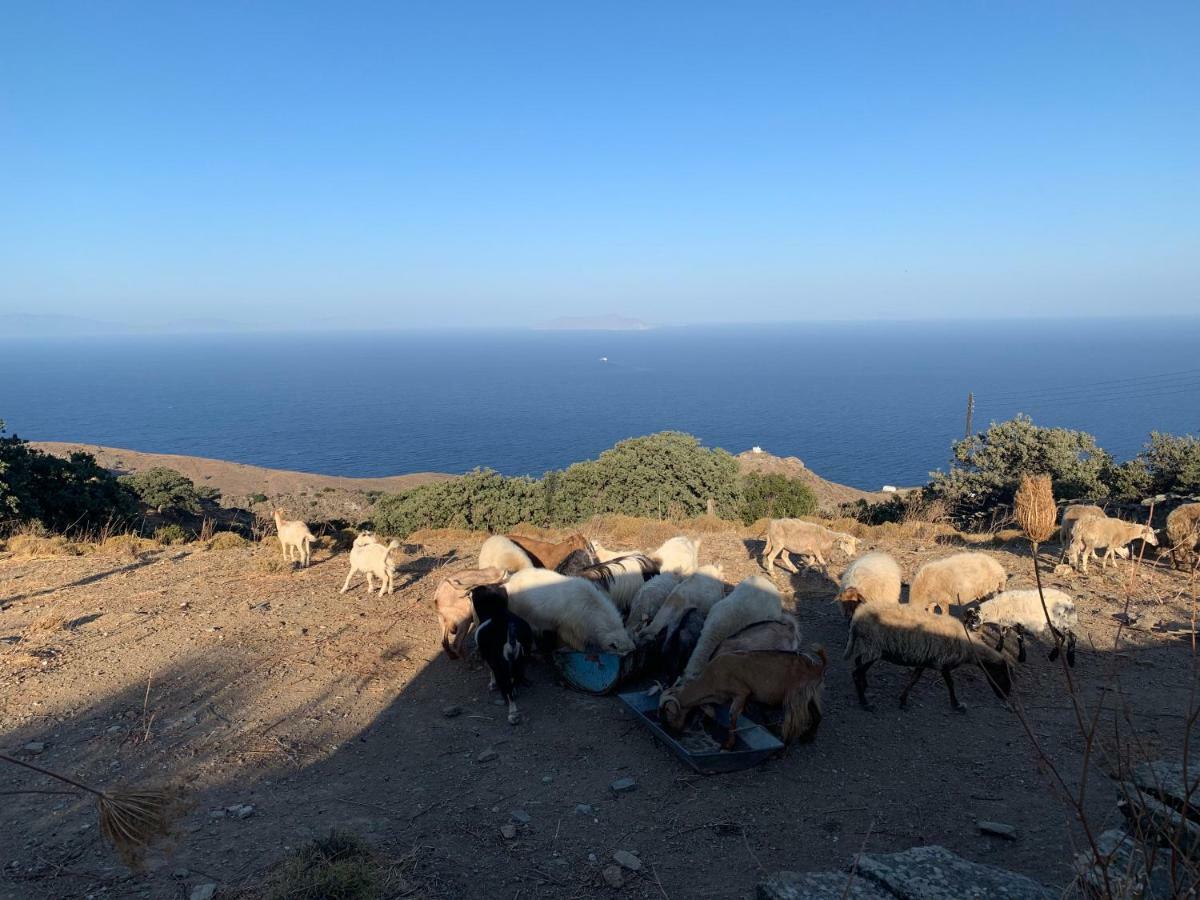 Sunrise Dream Daire Agia Mavra Dış mekan fotoğraf
